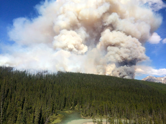 Protecting Homes Against Wildfires with Smart Solutions