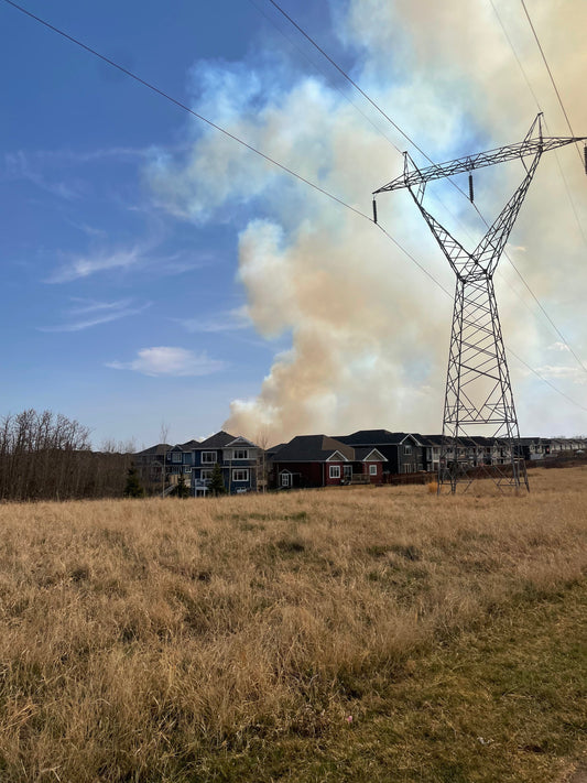 Grass Fires: A Fast-Moving Threat to Homes and Properties