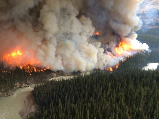 The “Spring Dip” Explained: A Hidden Wildfire Hazard in Western Canada